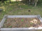 image of grave number 775417